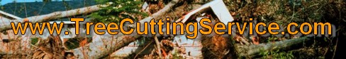 tree cutting contractor logo